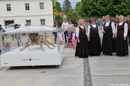 Čebela velikanka potuje po Kamniku (42)